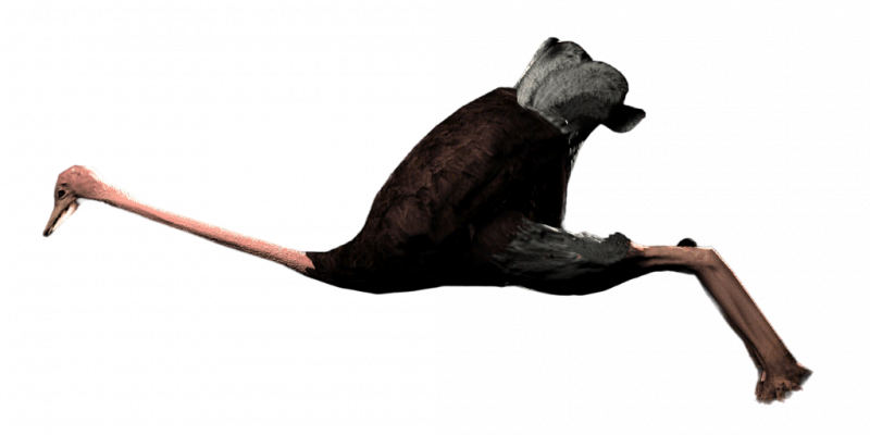 File:Weapon RFGSledgehammer Ostrich.png